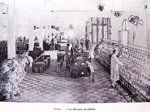 Images d'Algerie 006